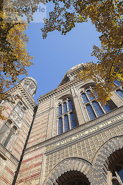 Deutschland  Berlin  Teil der Fassade der Neuen Synagoge