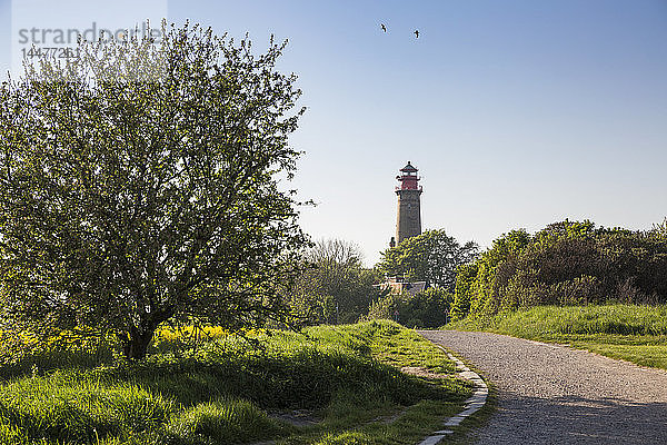 Deutschland  Rügen  Kap Arkona  Leuchtturm Kap Arkona
