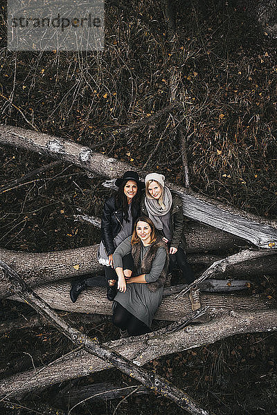Gruppenbild von drei Freunden  die auf Totholz in herbstlicher Natur sitzen  Luftaufnahme
