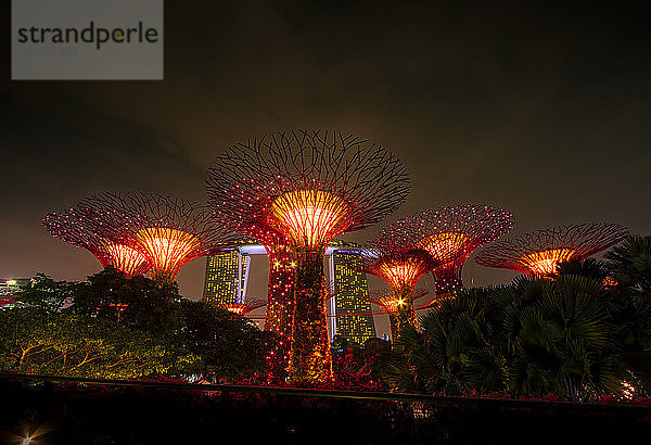 Singapur  Marina Bay  Gärten an der Bucht  Superbäume bei Nacht
