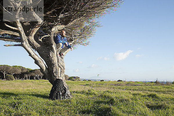 Wanderer mit Rucksack  im Baum sitzend