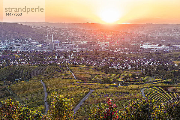 Deutschland  Baden-Württemberg  Stuttgart Untertürkheim und Bad Cannstatt  Industrie  Mercedes Benz Werk  Mercedes Benz Arena  Weinberge im Herbst bei Sonnenuntergang