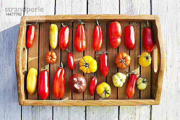 Schale mit verschiedenen Tomaten  Reifegrad  reif