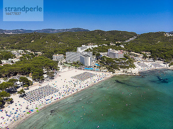 Spanien  Balearen  Mallorca  Region Calvia  Costa de la Calma  Peguera  Luftaufnahme des Strandes mit Hotels