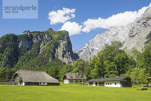Deutschland  Bayern  Oberbayern  Berchtesgadener Alpen  Nationalpark Berchtesgaden  Watzmann hinter Bauernhäusern