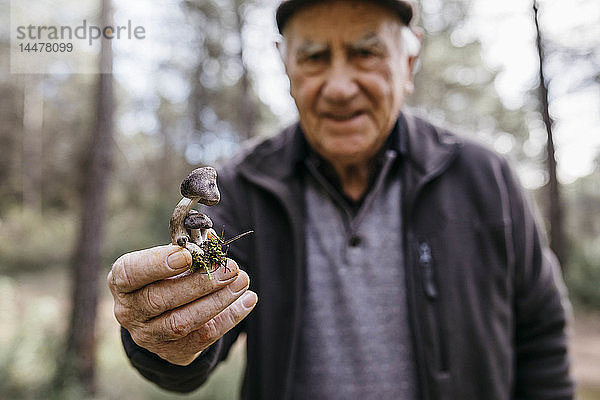 Älterer Mann zeigt gefundene Pilze