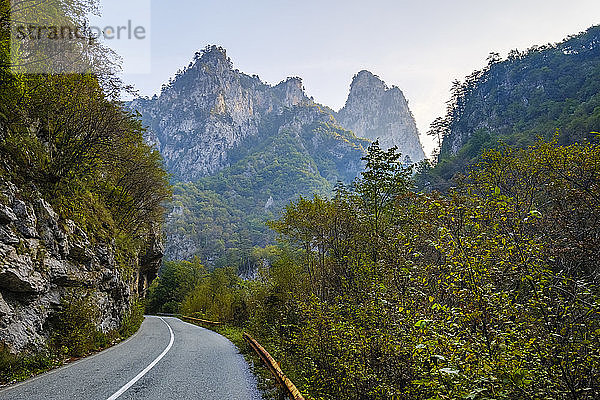 Montenegro  Provinz Pljevlja  Durmitor-Nationalpark  Landstraße durch die Tara-Schlucht