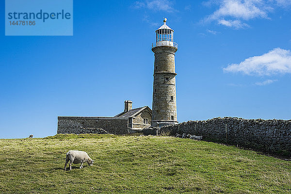 Vereinigtes Königreich  England  Devon  Island of Lundy  Lighthouse
