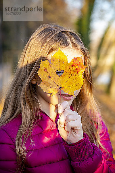 Porträt eines Mädchens  das durch ein herzförmiges Loch im Herbstblatt blickt