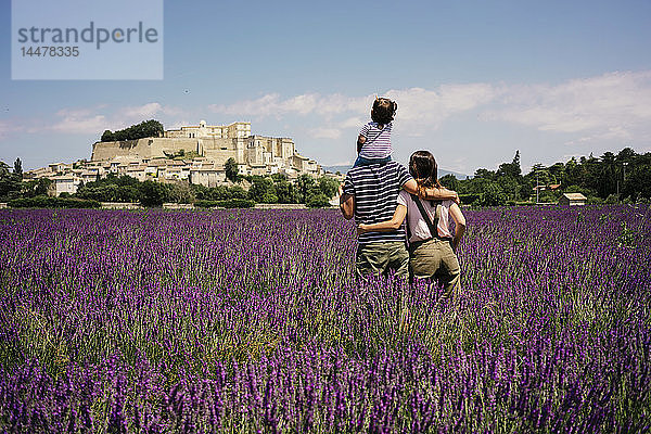 Frankreich  Grignan  Rückenansicht einer Familie  die in einem Lavendelfeld steht und auf das Dorf schaut