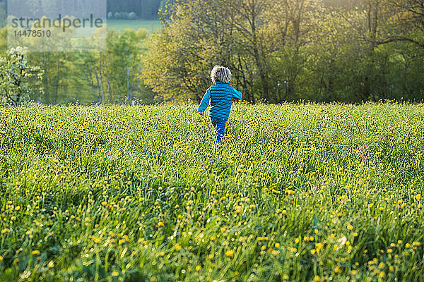 Junge rennt über eine Wiese mit Löwenzahn