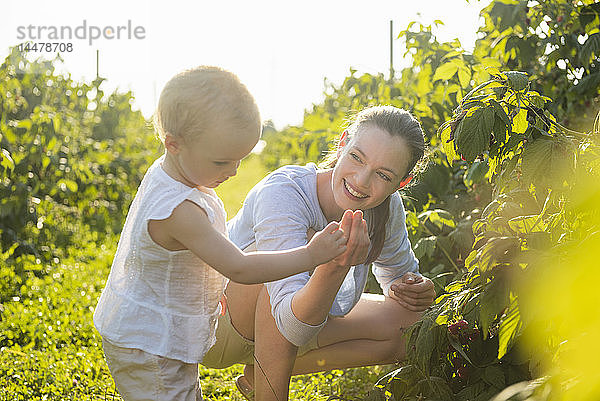 Mutter und kleine Tochter pflücken im Sommer gemeinsam Beeren