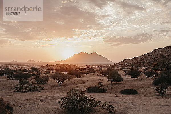 Namibia  Spitzkoppe  Wüstenlandschaft bei Sonnenuntergang