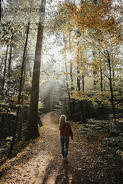 Deutschland  Schwarzwald  Sitzenkirch  Frau beim Spaziergang im Herbstwald