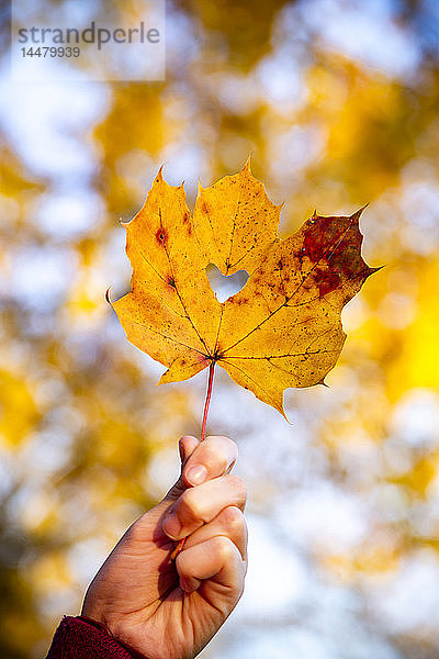 Mädchenhand hält Herbstblatt mit herzförmigem Loch