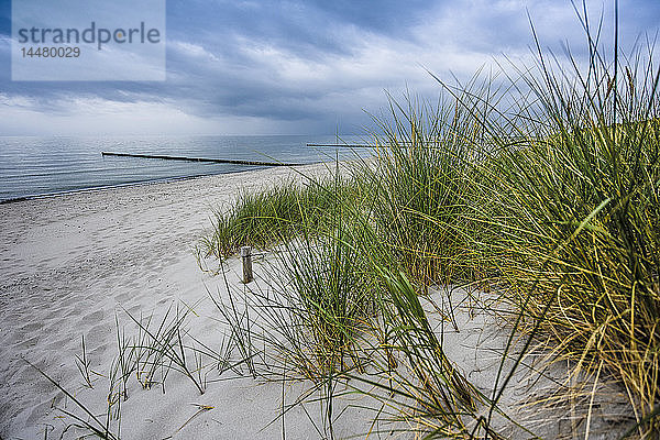 Deutschland  Mecklenburg-Vorpommern  Zingst  Strand und Wolken