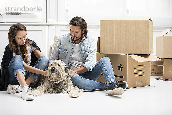 Ehepaar mit Hund und Pappkartons auf dem Boden sitzend in neuem Zuhause