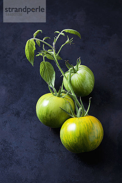 Drei Tomaten 'Grünes Zebra' auf dunklem Grund