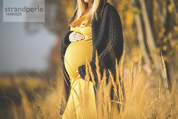 Nahaufnahme einer schwangeren Frau  die im Herbst in der Natur steht