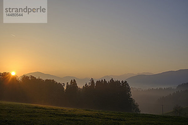 Deutschland  Oberbayern  Giesberg bei Miesbach bei Sonnenaufgang