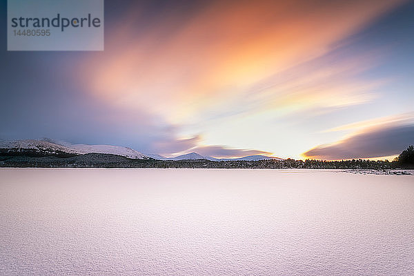 Vereinigtes Königreich  Schottland  Highlands  Cairngorms National Park  Loch Morlich  schneebedeckt  Sonnenuntergang