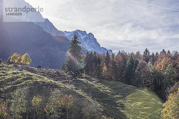 Deutschland  Bayern  Garmisch-Partenkirchen  Grainau in auutmn  Zugspitze