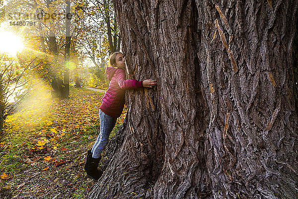 Mädchen umarmt großen Baum im Herbst