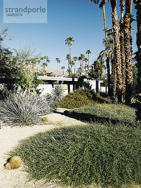 USA  Palm Springs  Garten vor moderner Architektur aus der Mitte des Jahrhunderts