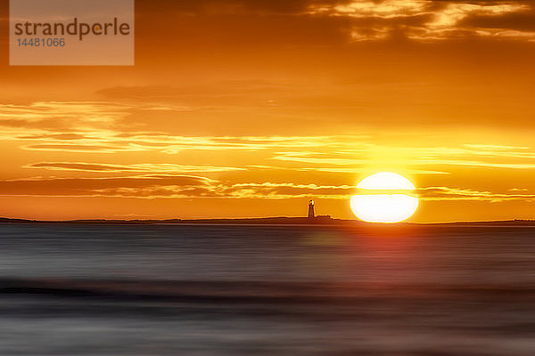 Vereinigtes Königreich  England  Northumberland  Leuchtturm der Farne-Inseln bei Sonnenaufgang