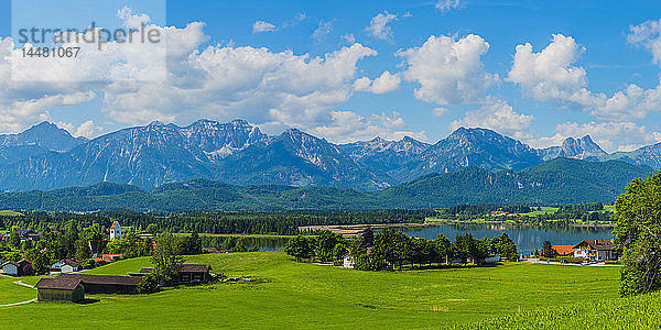 Deutschland  Bayern  Allgäu  Hopfen am See  Hopfensee  Allgäuer Alpen im Hintergrund