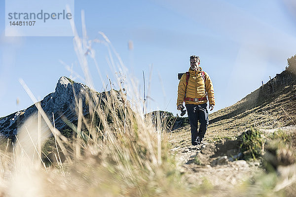 Österreich  Tirol  Mann wandert in den Bergen