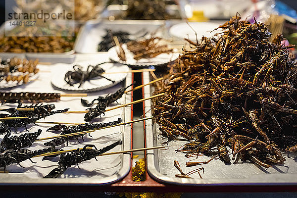 Thailand  Bangkok  Insekten zum Verkauf auf einem Markt