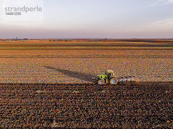 Serbien  Vojvodina. Traktor-Pflugplatz am Abend