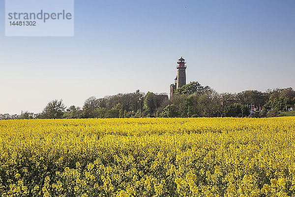 Deutschland  Rügen  Kap Arkona  Leuchtturm von Kap Arkona und Schinkelturm am Rapsfeld