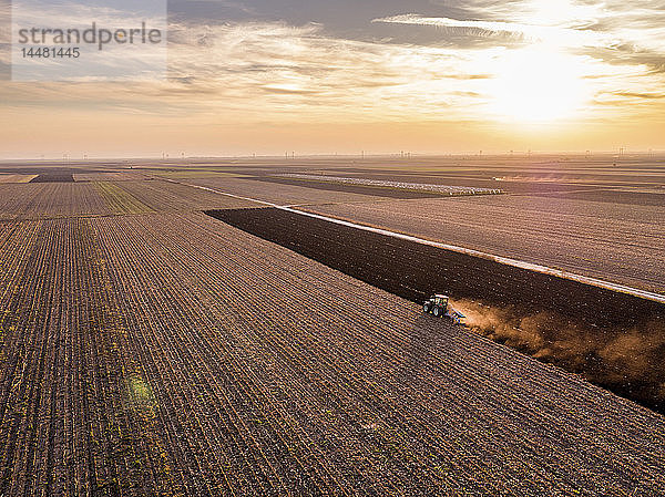 Serbien  Vojvodina. Traktor pflügt Feld bei Sonnenuntergang