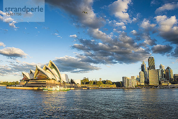Australien  New South Wales  Sydney  Geschäftsviertel und das Opernhaus von Sydney im Abendlicht