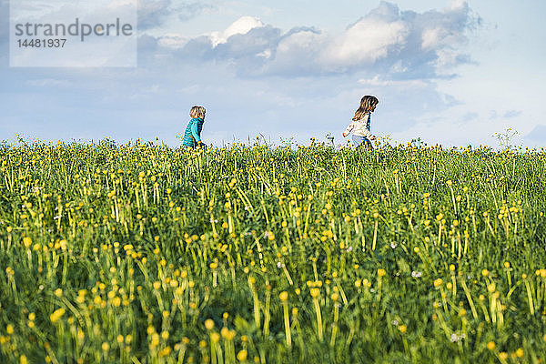 Zwei glückliche Kinder rennen über eine Wiese mit Löwenzahn