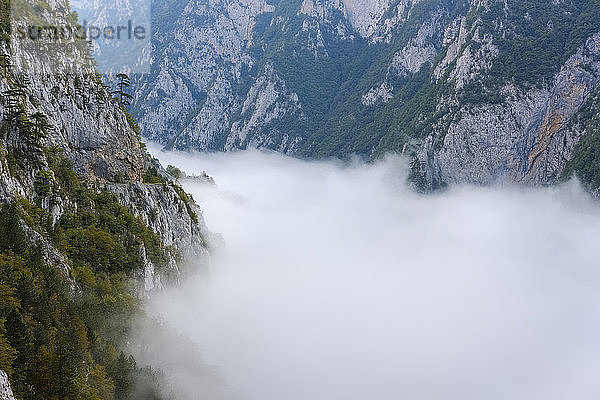 Montenegro  Provinz Pluzine  Nebel im Piva-Tal