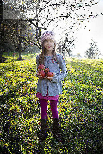 Porträt eines lächelnden Mädchens  das im Herbst auf einer Wiese mit gesammelten Äpfeln steht