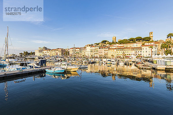 Frankreich  Provence-Alpes-Cote d'Azur  Cannes  Le Suquet  Altstadt  Fischereihafen und Boote