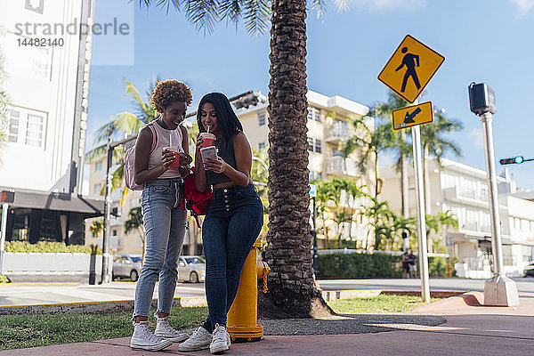 USA  Florida  Miami Beach  zwei glückliche Freundinnen mit Handy und Erfrischungsgetränk in der Stadt