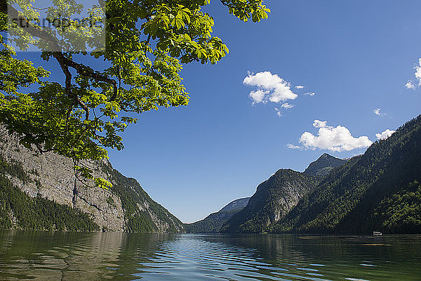 Deutschland  Bayern  Oberbayern  Berchtesgadener Alpen  Nationalpark Berchtesgaden  Königssee