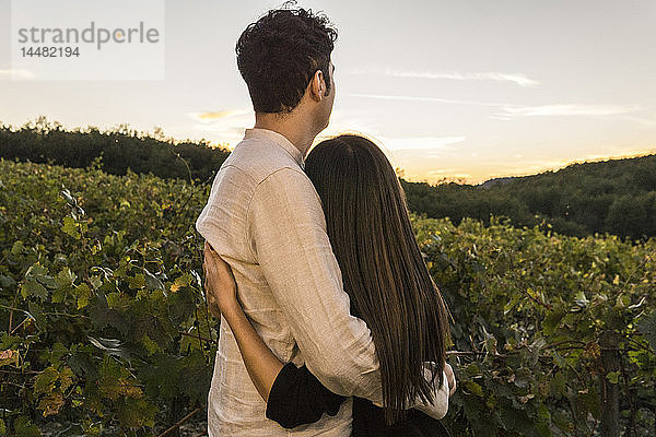 Italien  Toskana  Siena  junges Paar umarmt sich bei Sonnenuntergang in einem Weinberg