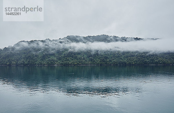 Chile  Hornopiren  Insel im Fjord