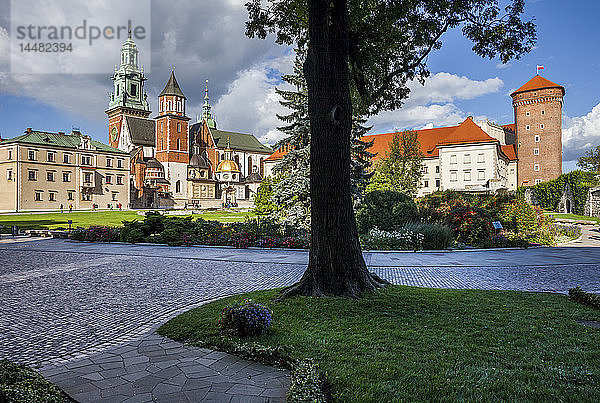 Polen  Krakau  Wawel-Kathedrale und Königsschloss