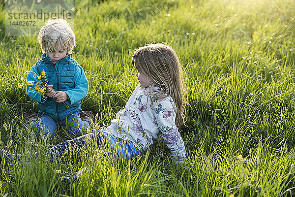 Zwei Kinder sitzen auf einer Wiese mit Löwenzahn und pflücken Blumen