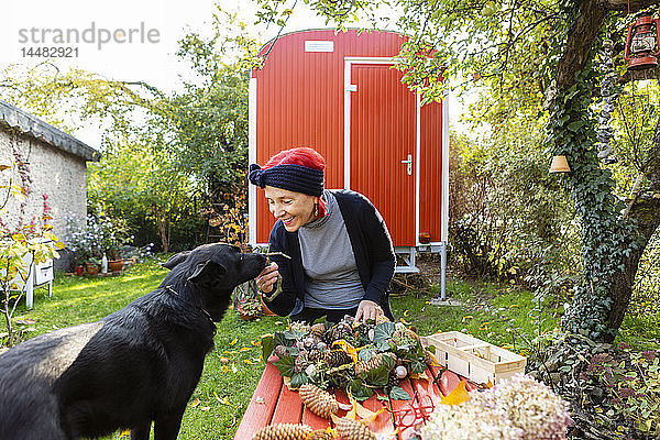Lächelnde ältere Frau mit rot gefärbtem Haar  die ihren Hund streichelt  während sie an der Herbstdekoration bastelt