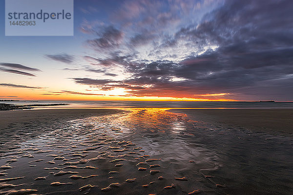 Vereinigtes Königreich  England  Northumberland  Strand von Bamburgh mit den Farne-Inseln in der Ferne bei Sonnenaufgang