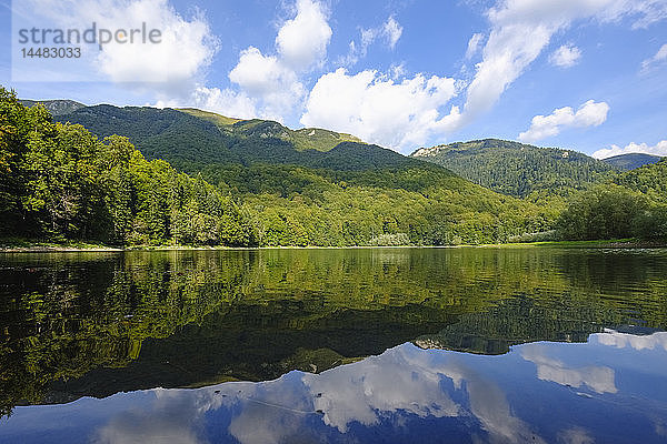 Montenegro  Provinz Kolasin  Nationalpark Biogradsko Jezero  Biograd-See