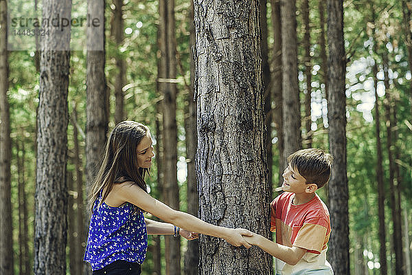 Bruder und Schwester spielen im Wald